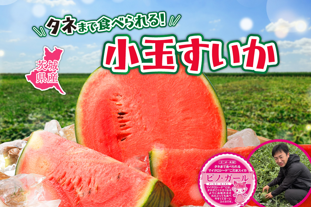 2026年6月8日(月)〜6月22日(月)【バイヤー厳選】いなみ農園さんの『ピノ・ガール』（茨城県産）