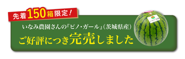 【バイヤー厳選】いなみ農園さんの『ピノ・ガール』（茨城県産）