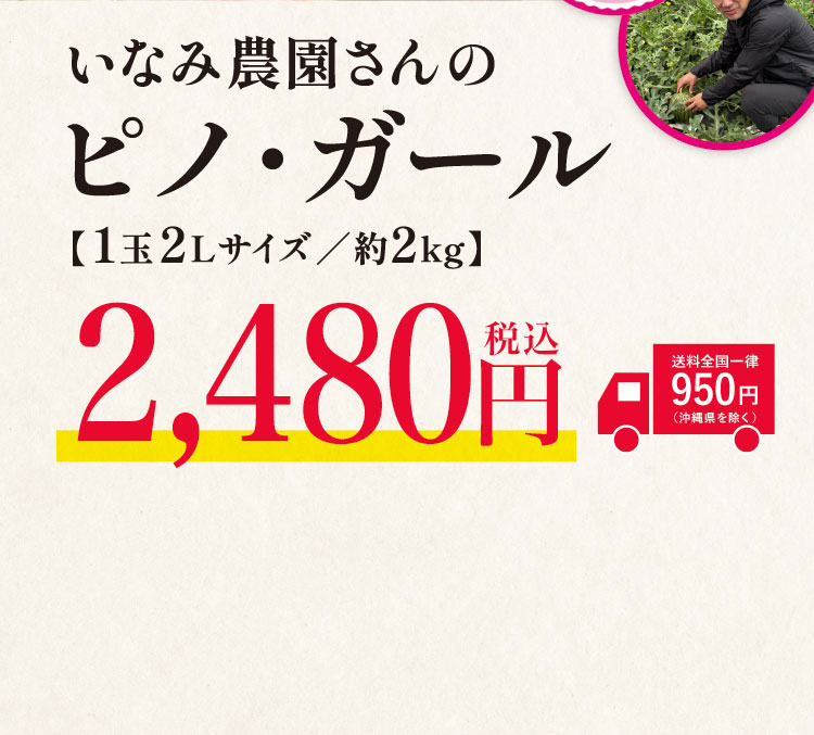 【バイヤー厳選】いなみ農園さんの『ピノ・ガール』（茨城県産）