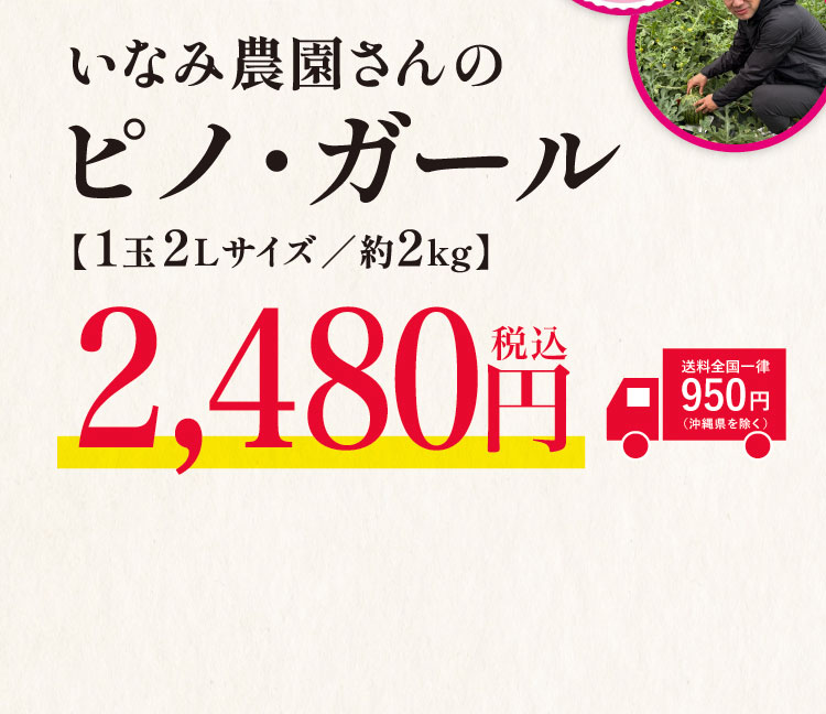 【バイヤー厳選】いなみ農園さんの『ピノ・ガール』（茨城県産）