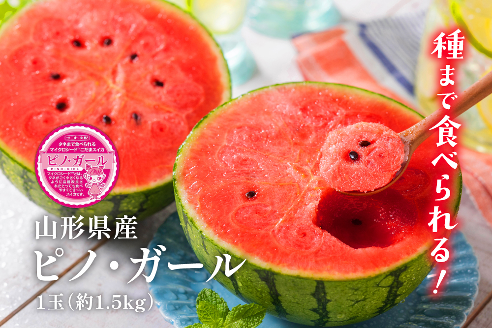 2026年7月6日(月)〜7月20日(月)【バイヤー厳選】種まで食べられる小玉すいか『ピノ・ガール』（山形県産）