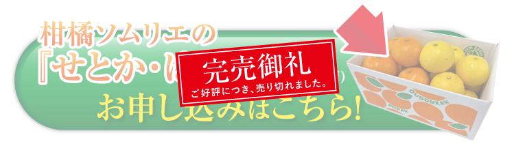 【産地直送】柑橘ソムリエの『せとか・はるか（ご家庭用）』（愛媛県産）