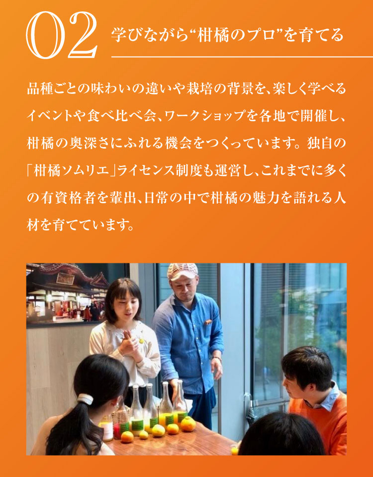 【産地直送】柑橘ソムリエの『せとか・はるか（ご家庭用）』（愛媛県産）