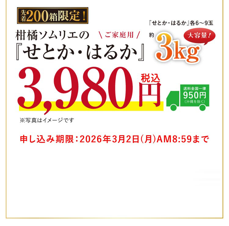 【産地直送】柑橘ソムリエの『せとか・はるか（ご家庭用）』（愛媛県産）