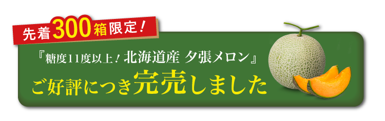 【バイヤー厳選】糖度11度以上！夕張メロン（北海道産）