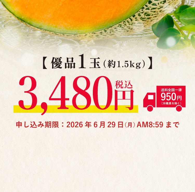 【バイヤー厳選】糖度11度以上！夕張メロン（北海道産）