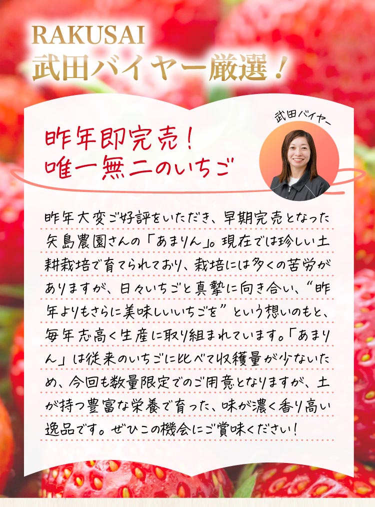【産地直送】矢島農園さんのいちご『彩のあまりん』（埼玉県産）
