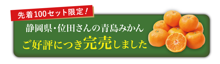 【産地直送】位田さんの青島みかん（静岡県産）