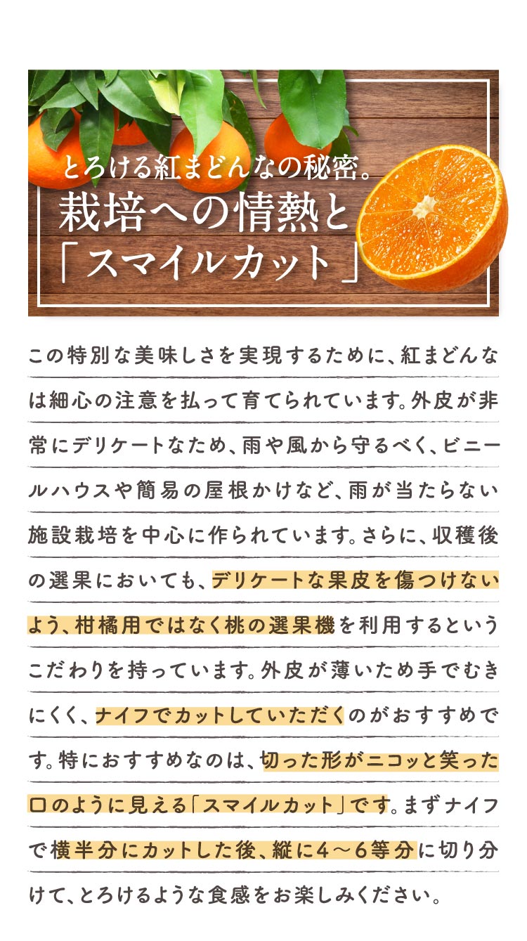 【バイヤー厳選】高級柑橘 紅まどんな（愛媛県産）