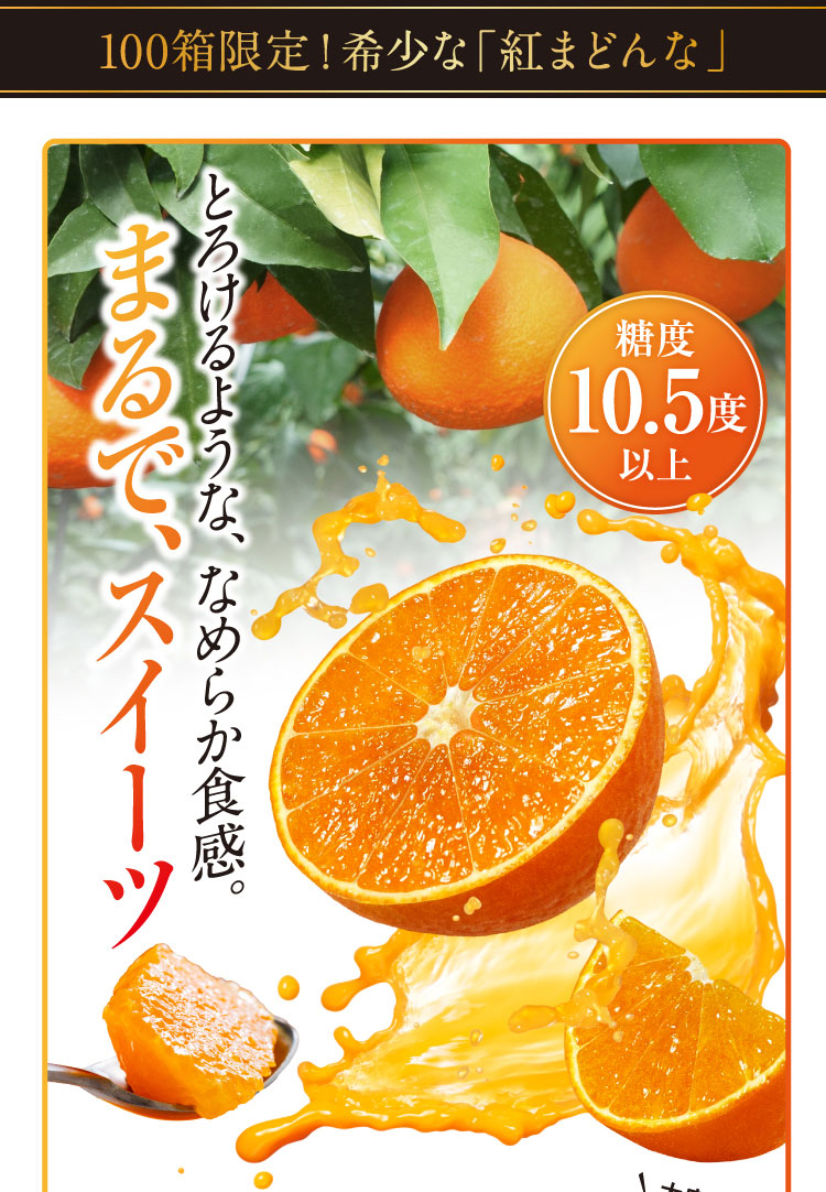 【バイヤー厳選】高級柑橘 紅まどんな（愛媛県産）