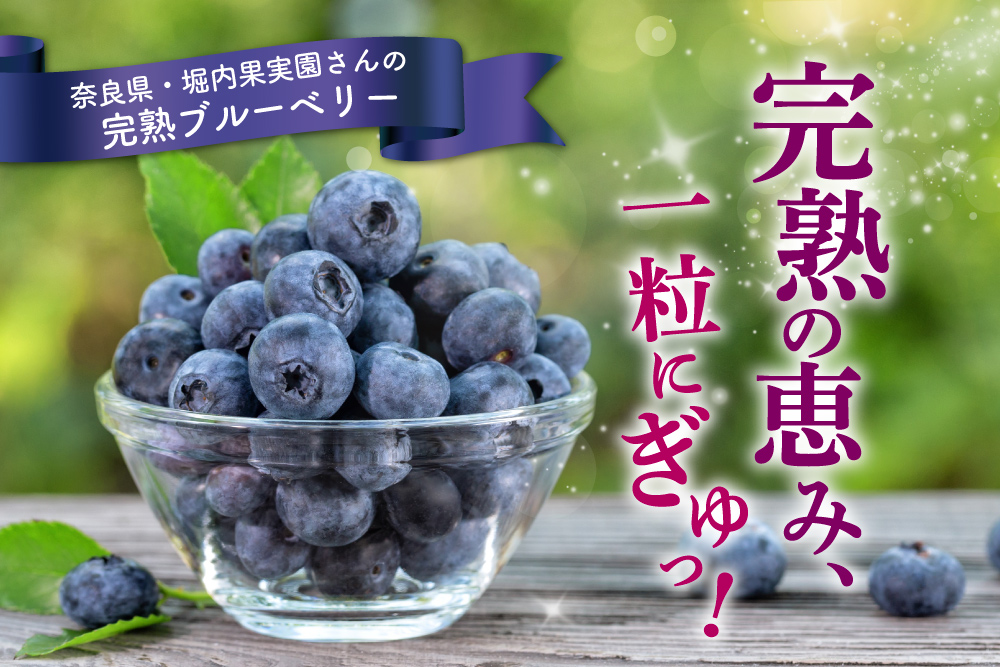 2025年7月21日(月)～8月4日(月)【バイヤー厳選】堀内果実園さんのブルーベリー（奈良県産）