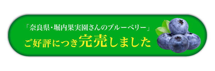 【バイヤー厳選】堀内果実園さんのブルーベリー（奈良県産）