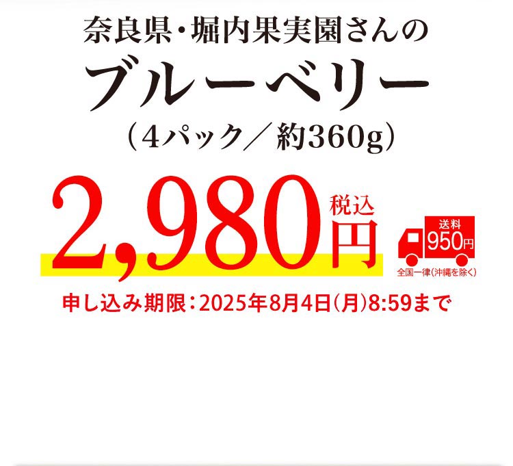 【バイヤー厳選】堀内果実園さんのブルーベリー（奈良県産）