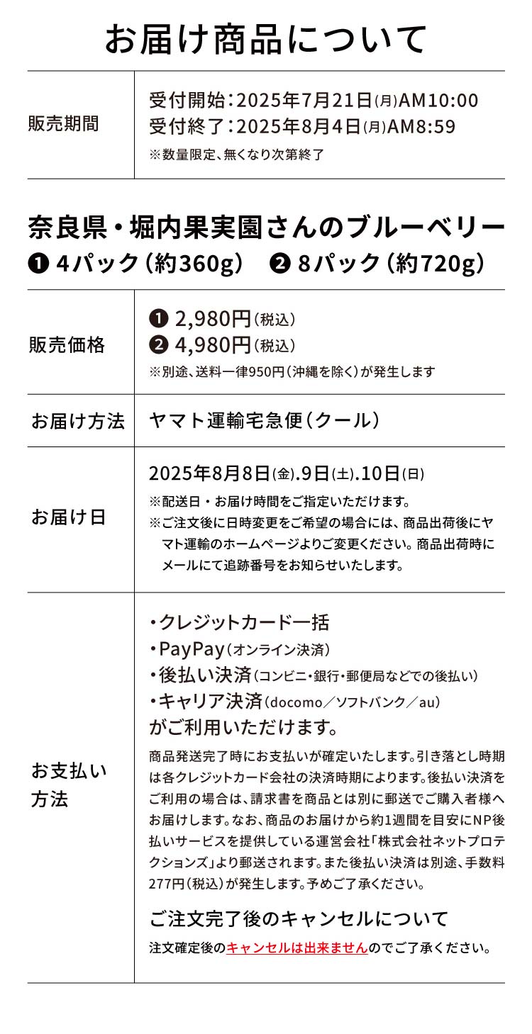 【バイヤー厳選】堀内果実園さんのブルーベリー（奈良県産）