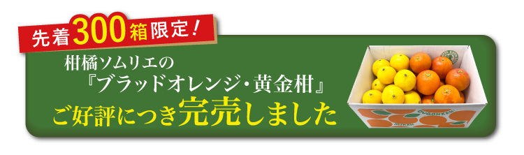 【産地直送】柑橘ソムリエの『ブラッドオレンジ・黄金柑』（愛媛県産）