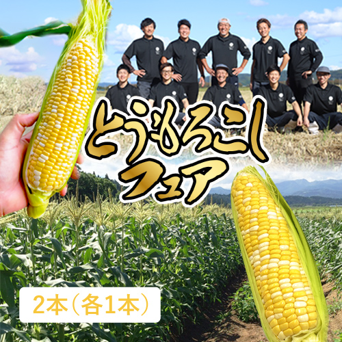 セット③