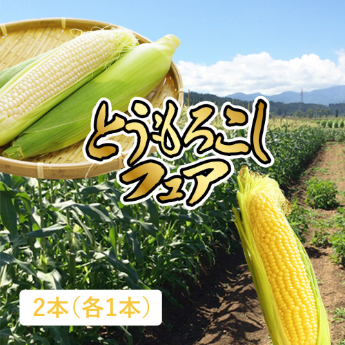 セット④