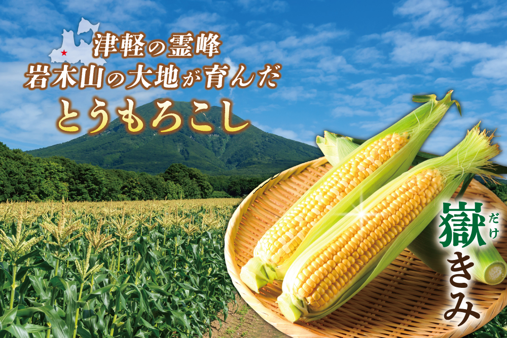 2026年8月10日(月)〜8月17日(月)【バイヤー厳選】ブランドとうもろこし『嶽きみ』（青森県産）