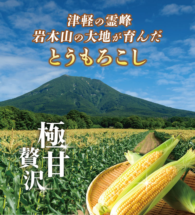 【バイヤー厳選】ブランドとうもろこし『嶽きみ』（青森県産）