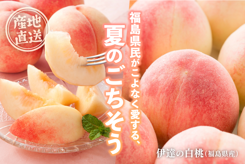 2026年7月13日(月)〜7月27日(月)【産地直送】夏のごちそう『伊達の白桃』（福島県産）