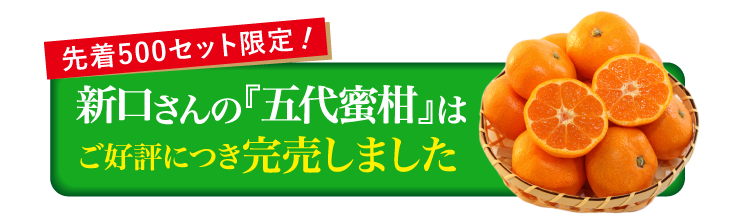 【産地直送】新口農園さんが育てた五代蜜柑（愛媛県産）