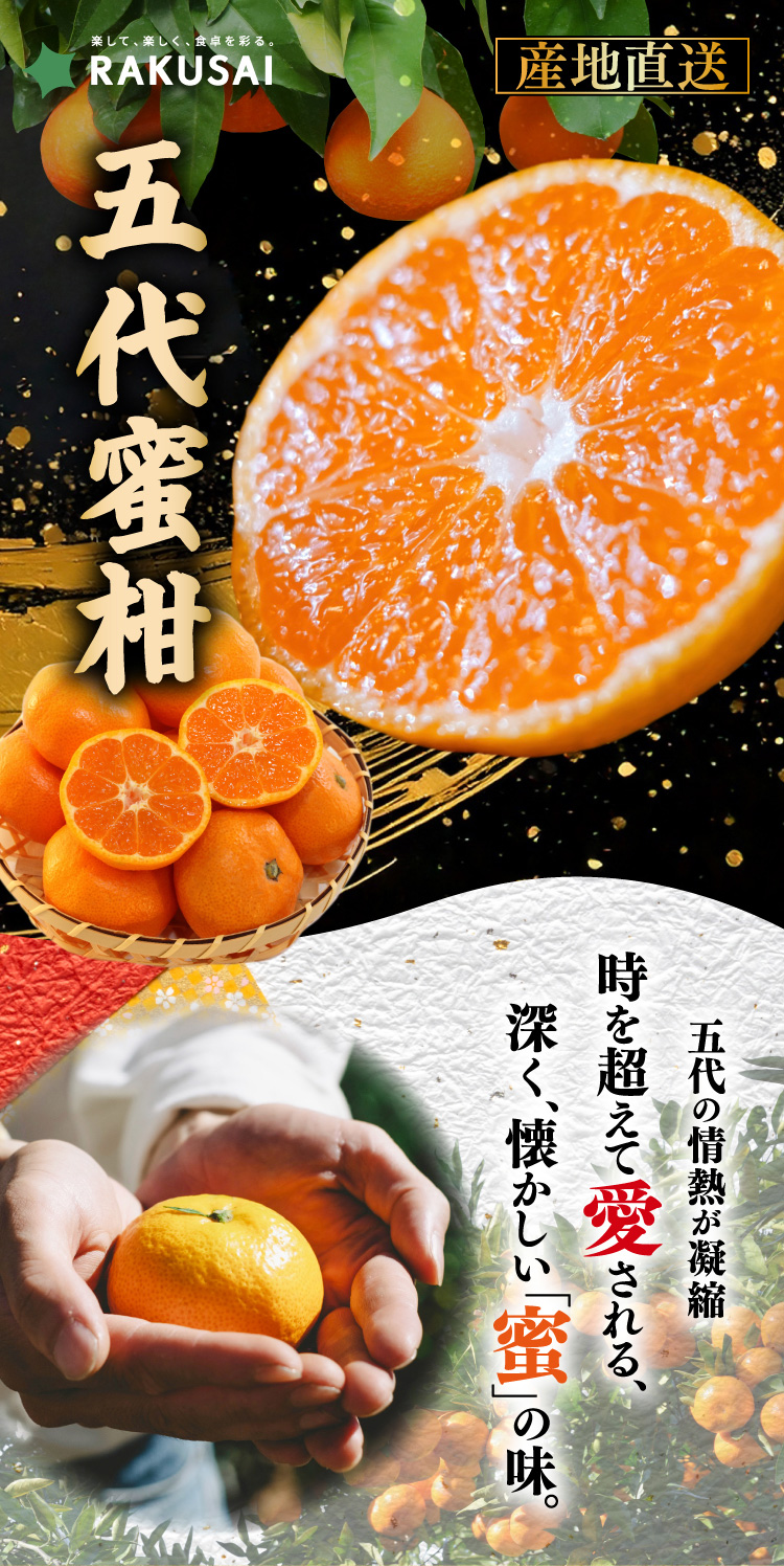 【産地直送】新口農園さんが育てた五代蜜柑（愛媛県産）