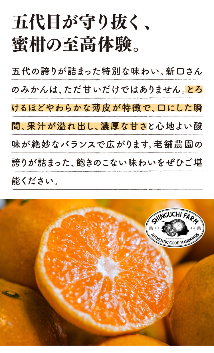 【産地直送】新口農園さんが育てた五代蜜柑（愛媛県産）