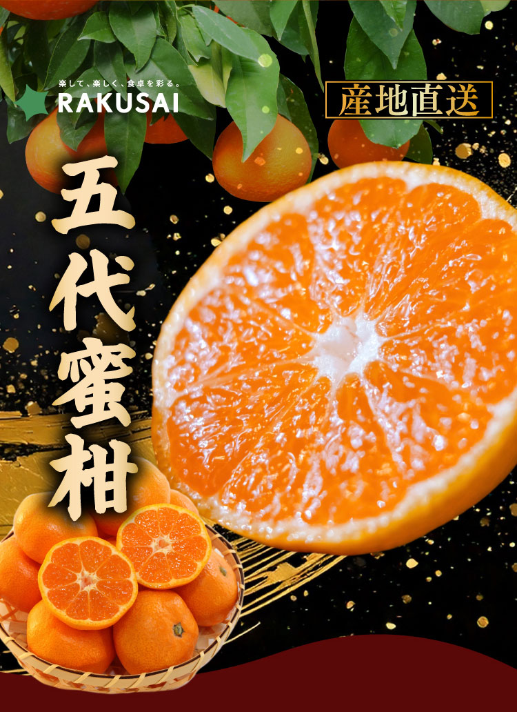 【産地直送】新口農園さんが育てた五代蜜柑（愛媛県産）