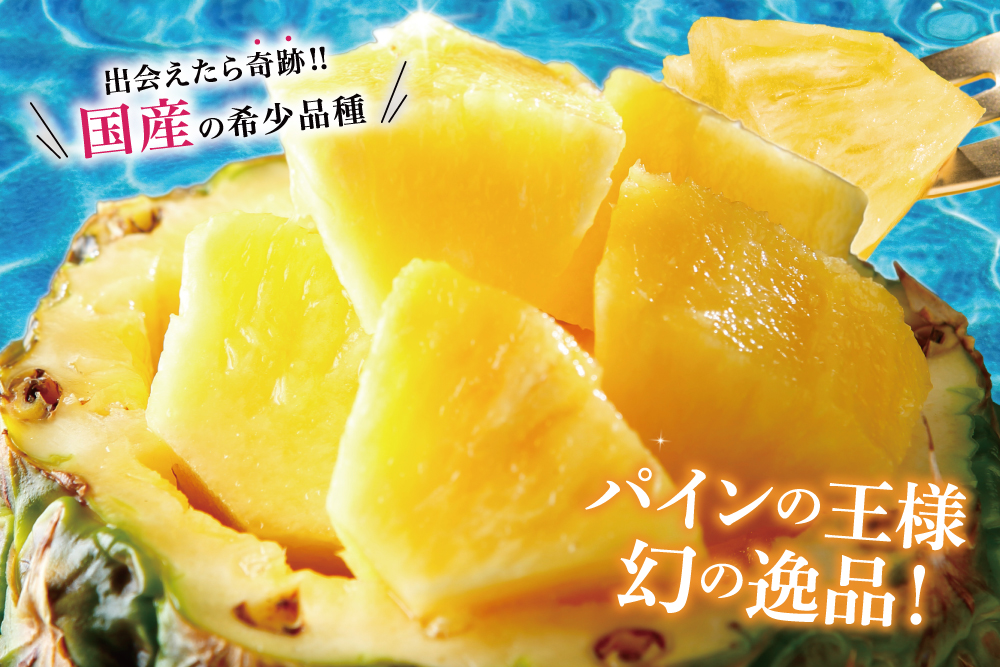 2025年7月7日(月)～7月21日(月)【バイヤー厳選】超希少品種パイン！ゴールドバレル（沖縄県産）