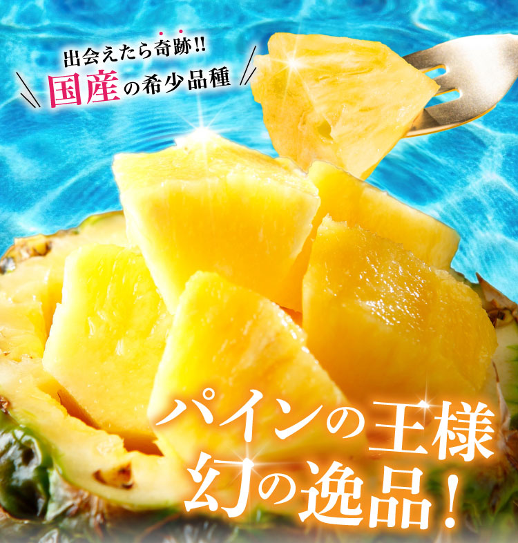 【バイヤー厳選】超希少品種パイン！ゴールドバレル（沖縄県産）