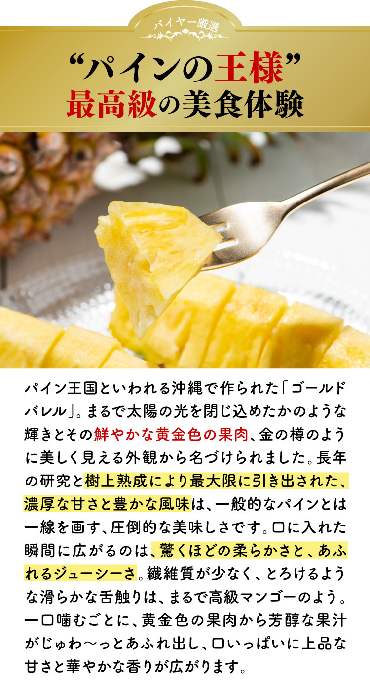 【バイヤー厳選】超希少品種パイン！ゴールドバレル（沖縄県産）