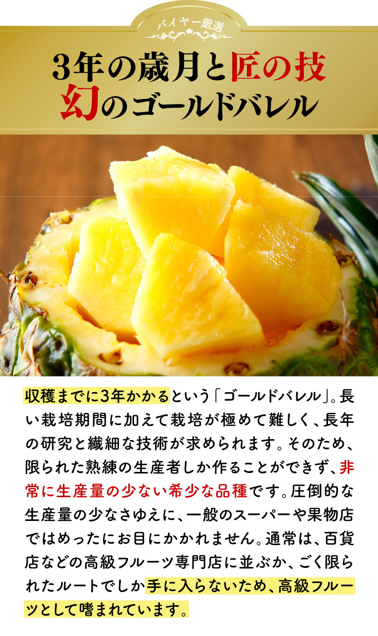 【バイヤー厳選】超希少品種パイン！ゴールドバレル（沖縄県産）