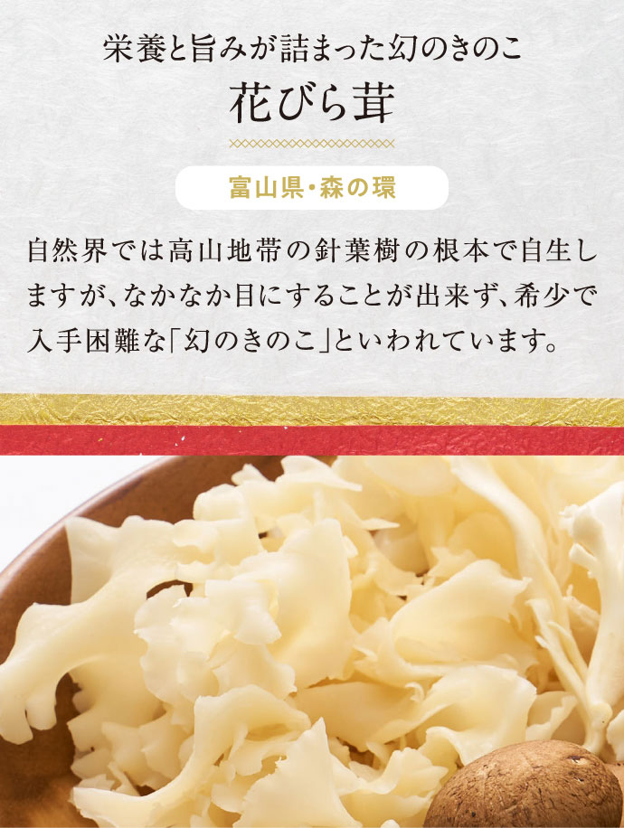【熊谷喜八シェフ監修】厳選野菜で食べる厚切り牛たんセット ～ゴルゴンゾーラソース仕立て～