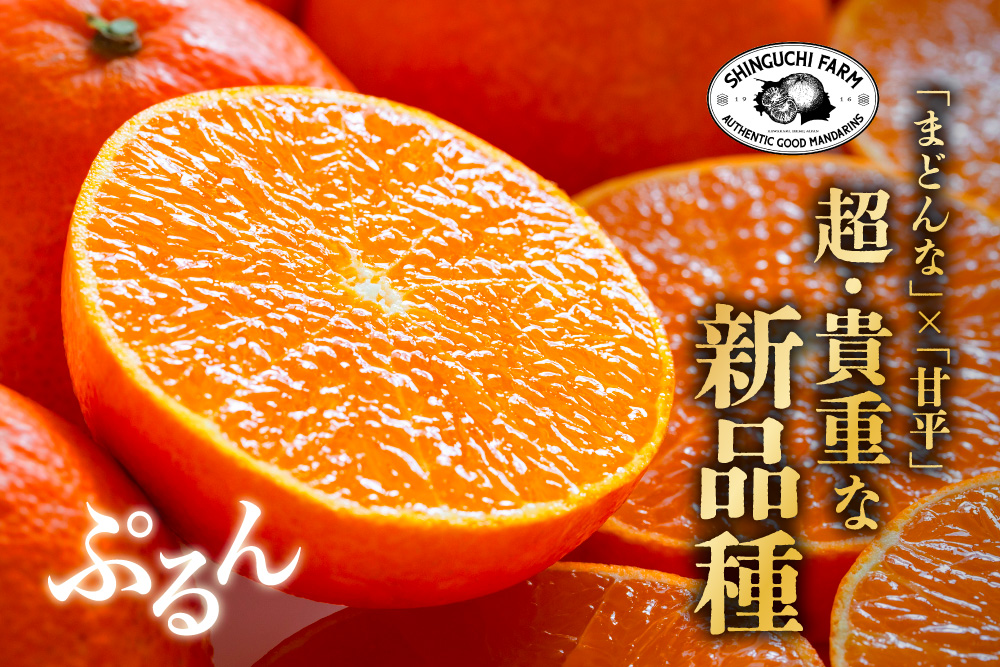 2026年3月9日(月)〜3月23日(月)【産地直送】新口農園さんの『ひめか（ご家庭用）』（愛媛県産）