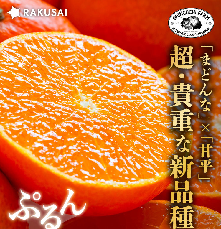 【産地直送】新口農園さんの『ひめか（ご家庭用）』（愛媛県産）