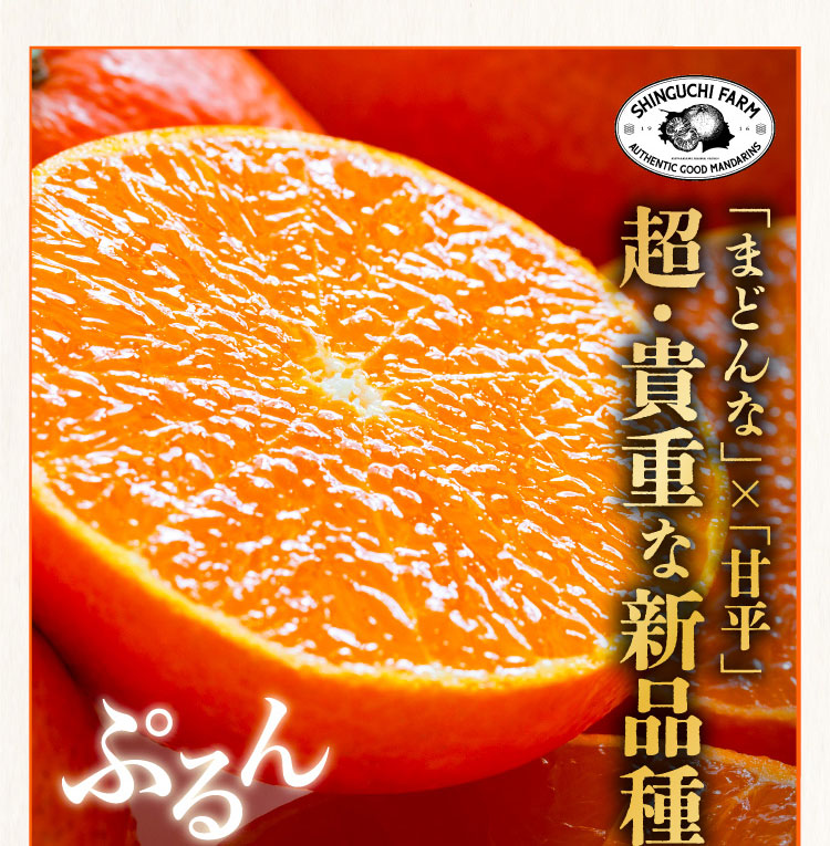 【産地直送】新口農園さんの『ひめか（ご家庭用）』（愛媛県産）