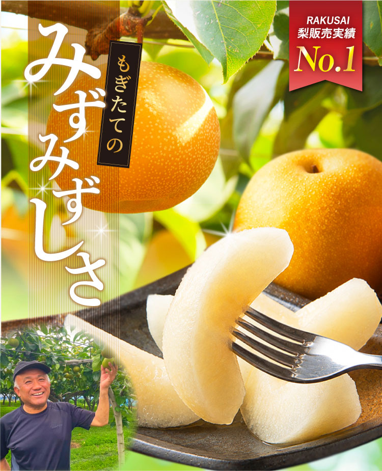 【バイヤー厳選】究極のみずみずしさ 山﨑梨園の『豊水梨』（千葉県産）
