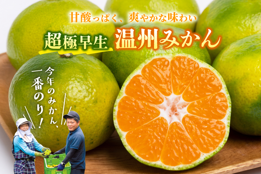 2026年9月21日(月)〜9月30日(水)【産地直送】岡農園さんの『一番のりみかん』（三重県産）