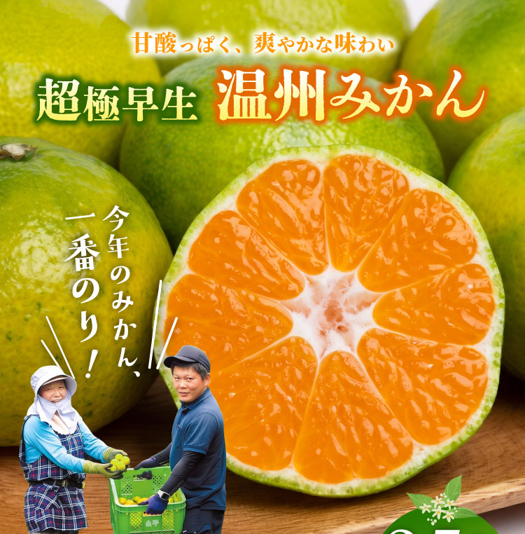【産地直送】岡農園さんの『一番のりみかん』（三重県産）