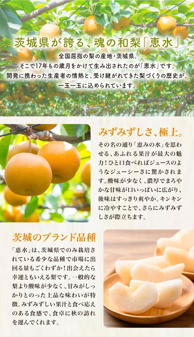 【バイヤー厳選】茨城が誇る奇跡の梨「恵水梨」（茨城県産）