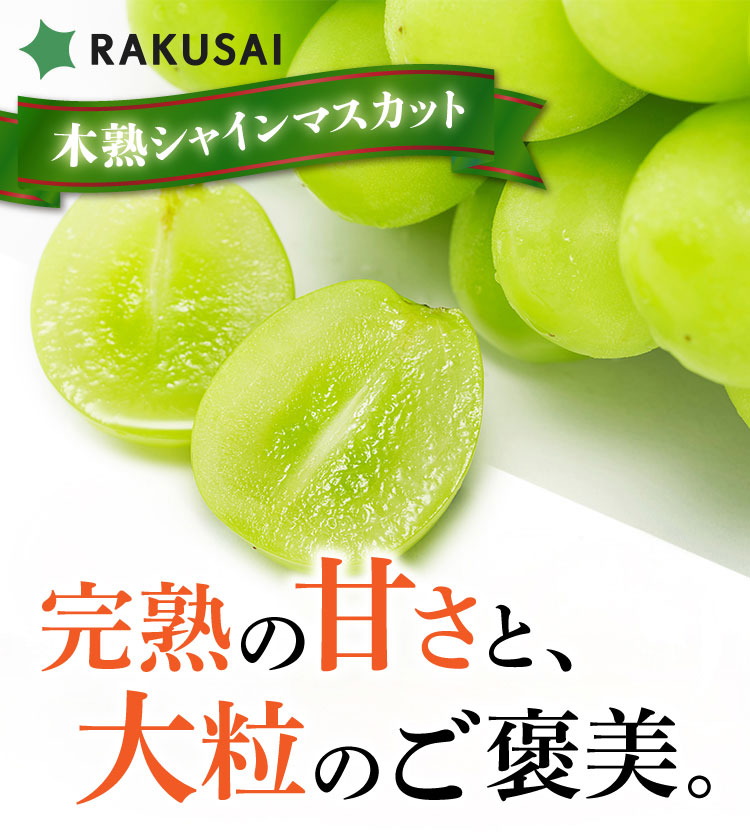 【産地直送】採れたて！岡木農園さんの木熟シャインマスカット（長野県産）