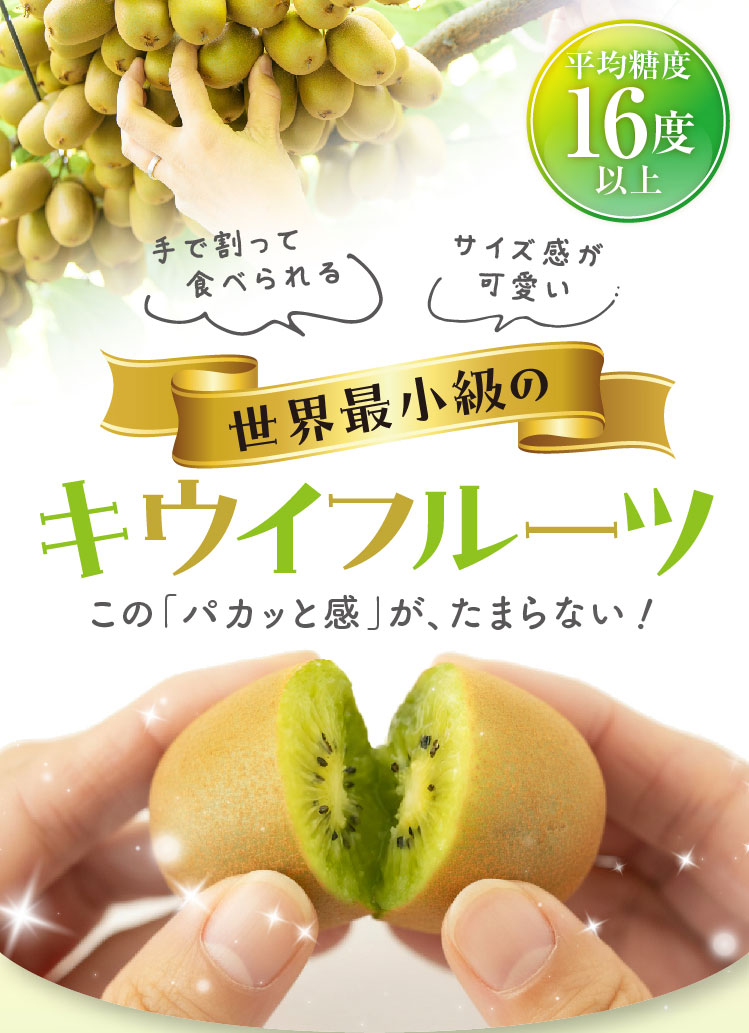 【産地直送】キウイバードさんが作ったキウイのたまご（愛媛県産）