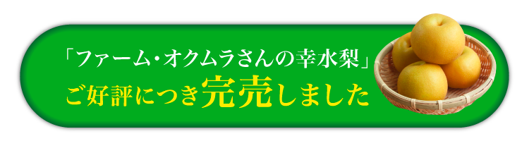 【産地直送】ファーム・オクムラさんの幸水梨（石川県産）