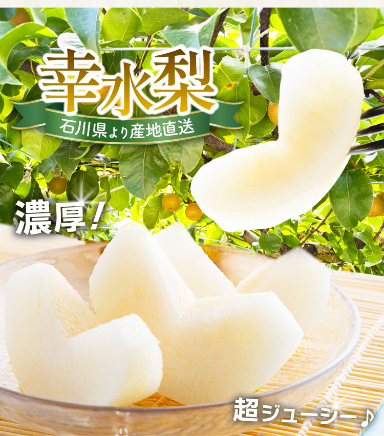 【産地直送】自然栽培にこだわった 奥村さんの『幸水梨』（石川県産）