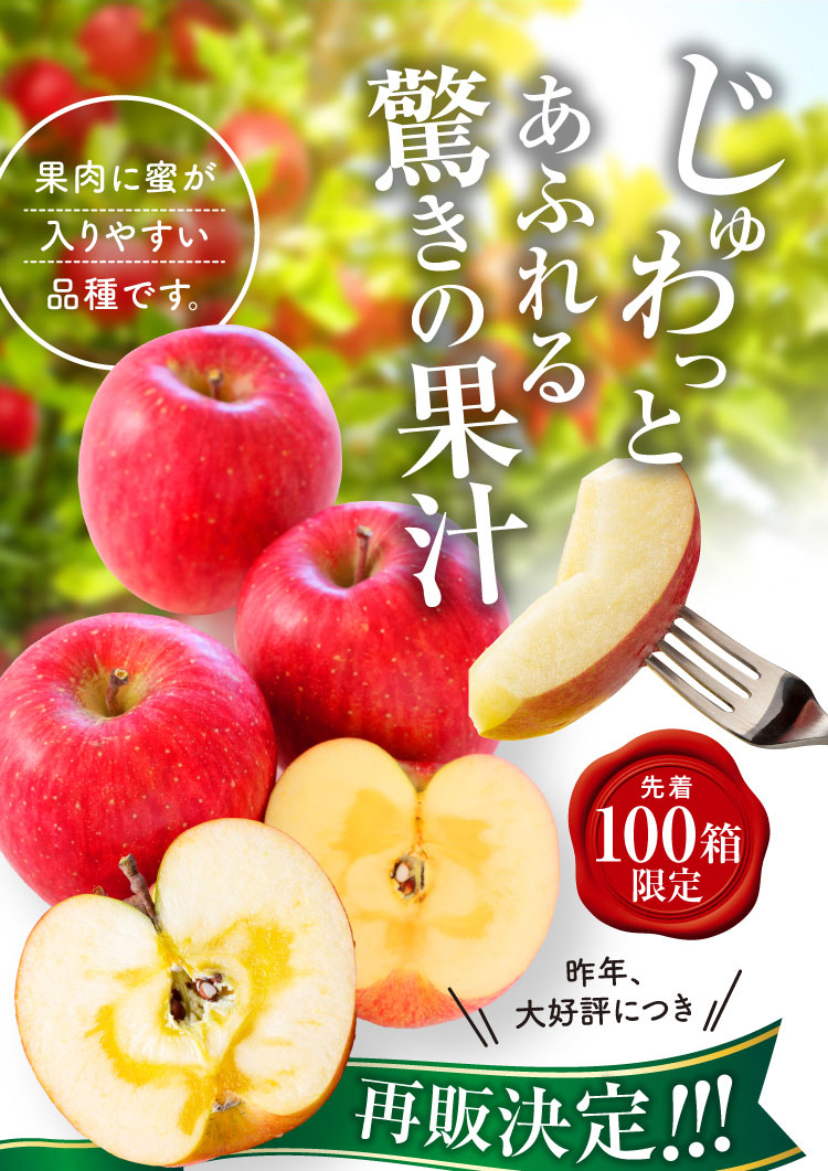 【バイヤー厳選】希少な品種 こうとくりんご（青森県産）
