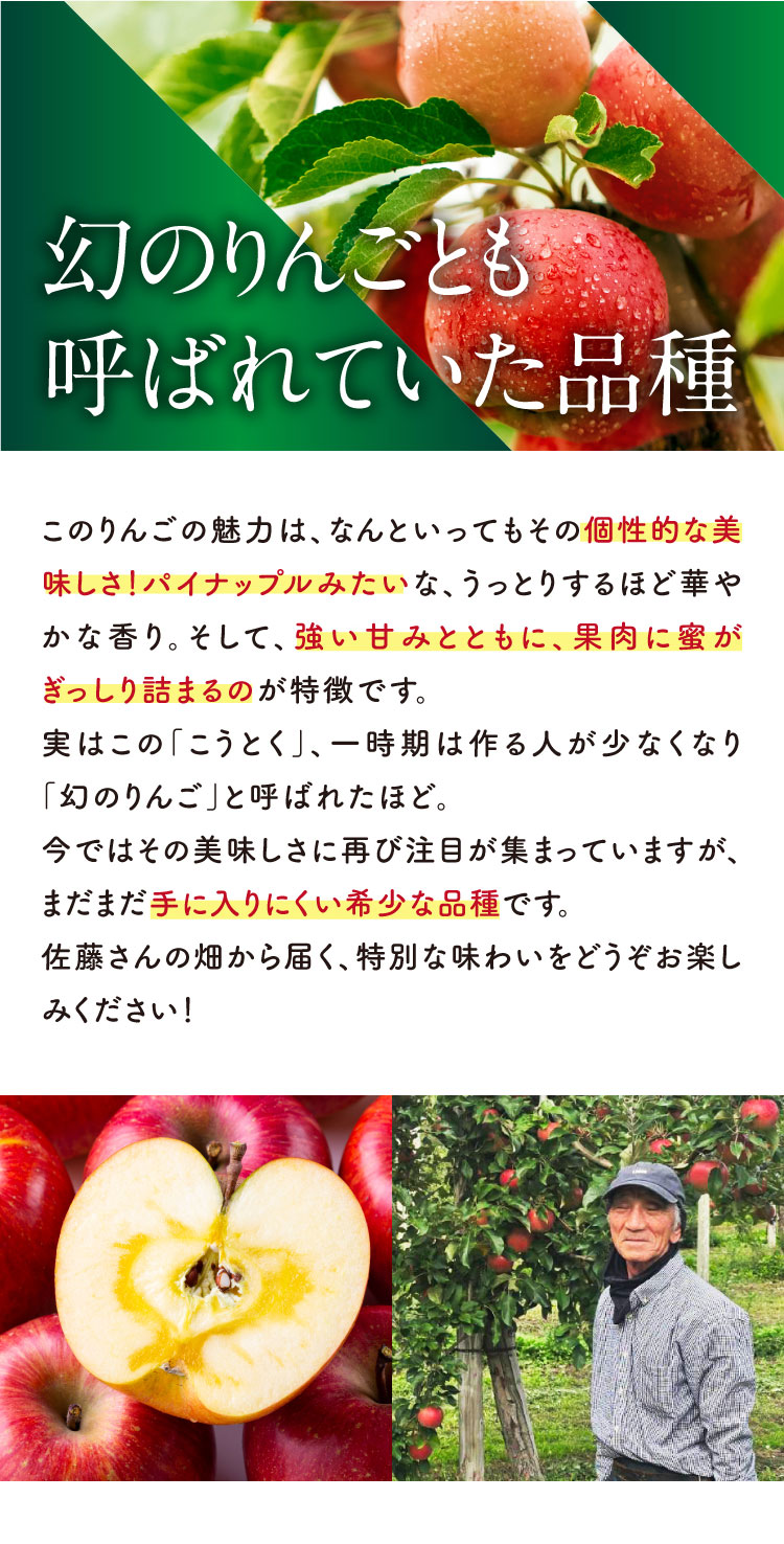 【バイヤー厳選】希少な品種 こうとくりんご（青森県産）