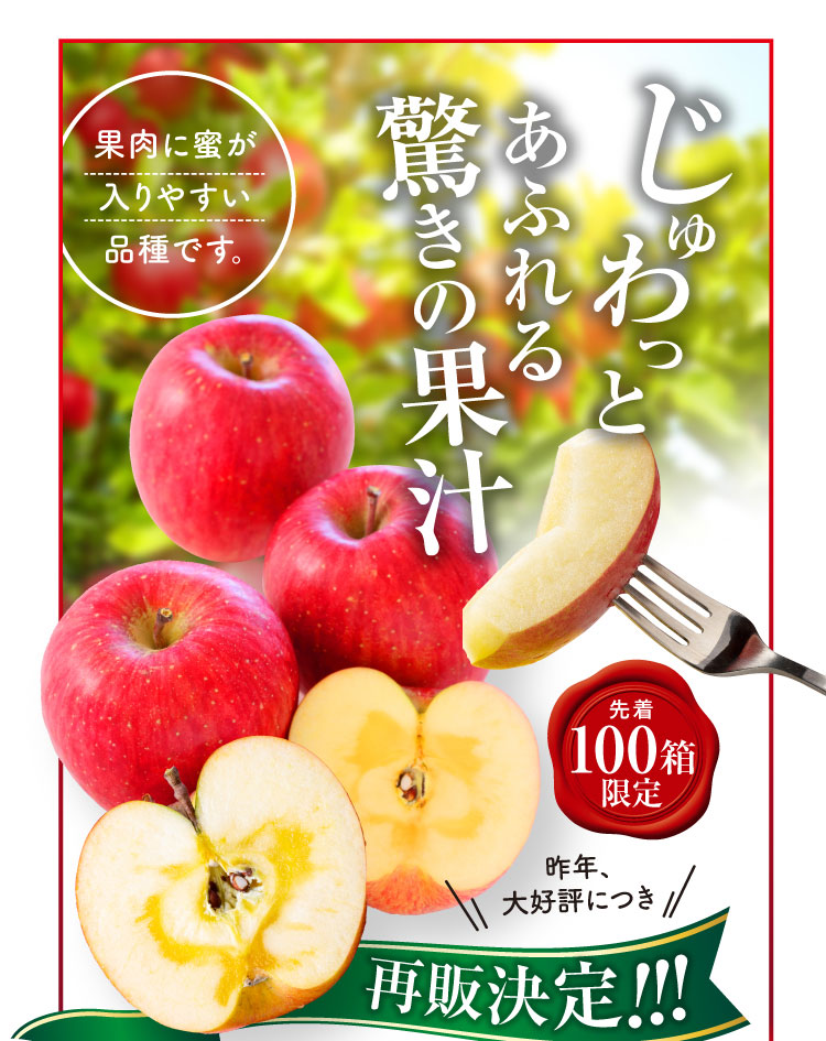 【バイヤー厳選】希少な品種 こうとくりんご（青森県産）