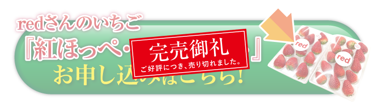 【産地直送】redさんのいちご『紅ほっぺ・スターナイト』（京都府産）