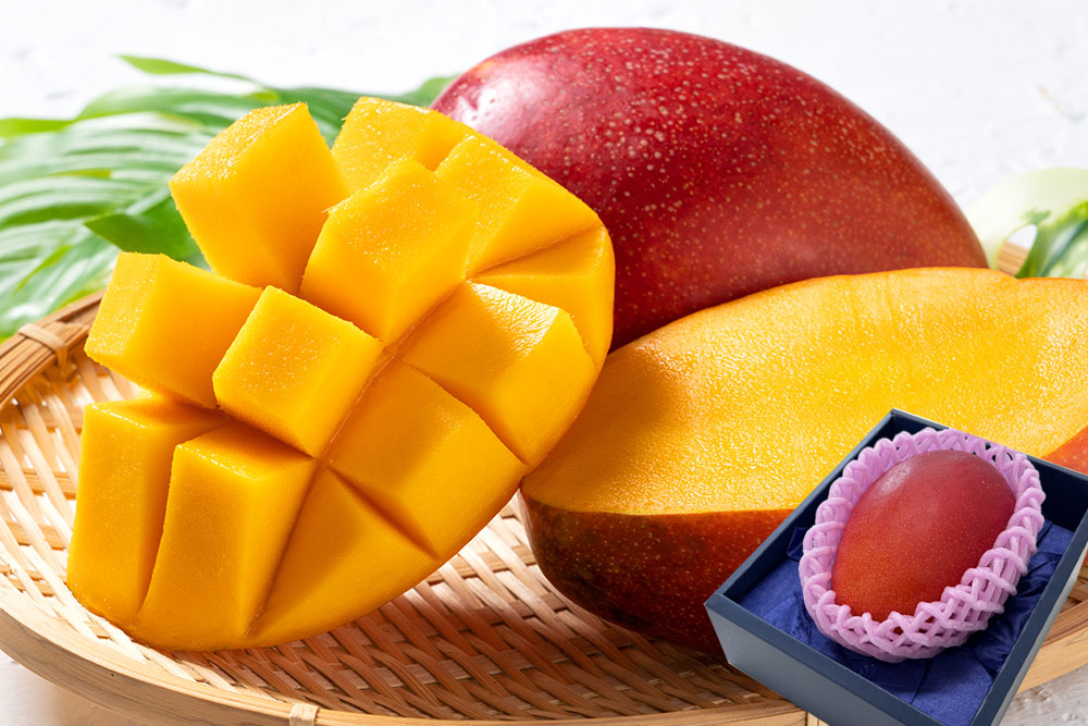 RAKUSAI GIFT 春の贈り物