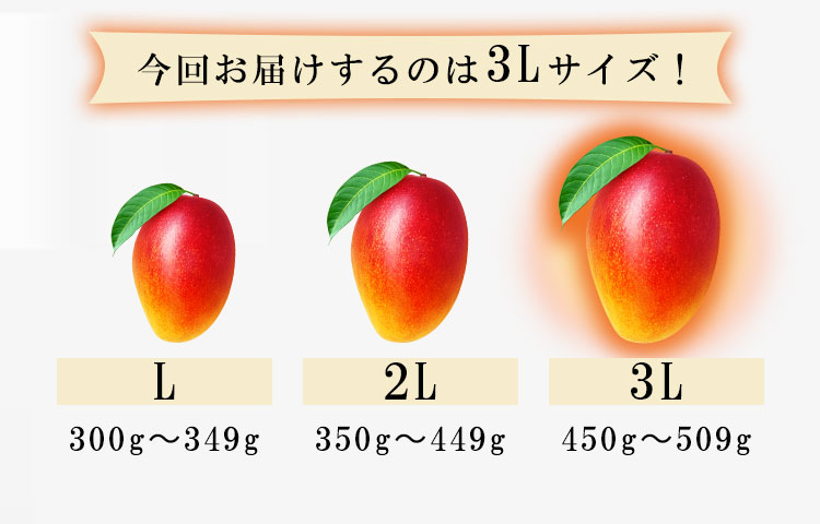 マンゴーのサイズ一覧